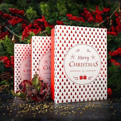 3 Pack Merry Christmas Gift Box and Products Set